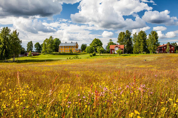 Learn to Meditate at the Young Retreat